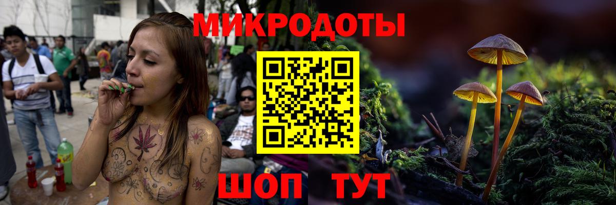 Псилоцибиновые грибы Cubensis Надым